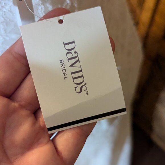 DB STUDIO NWT Allover Lace V-Neck Sheath Wedding Dress size 16W - never altered - Picture 13 of 14